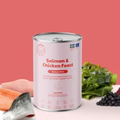 Buddy Pet Foods Buddy Salmon & Chicken Feast