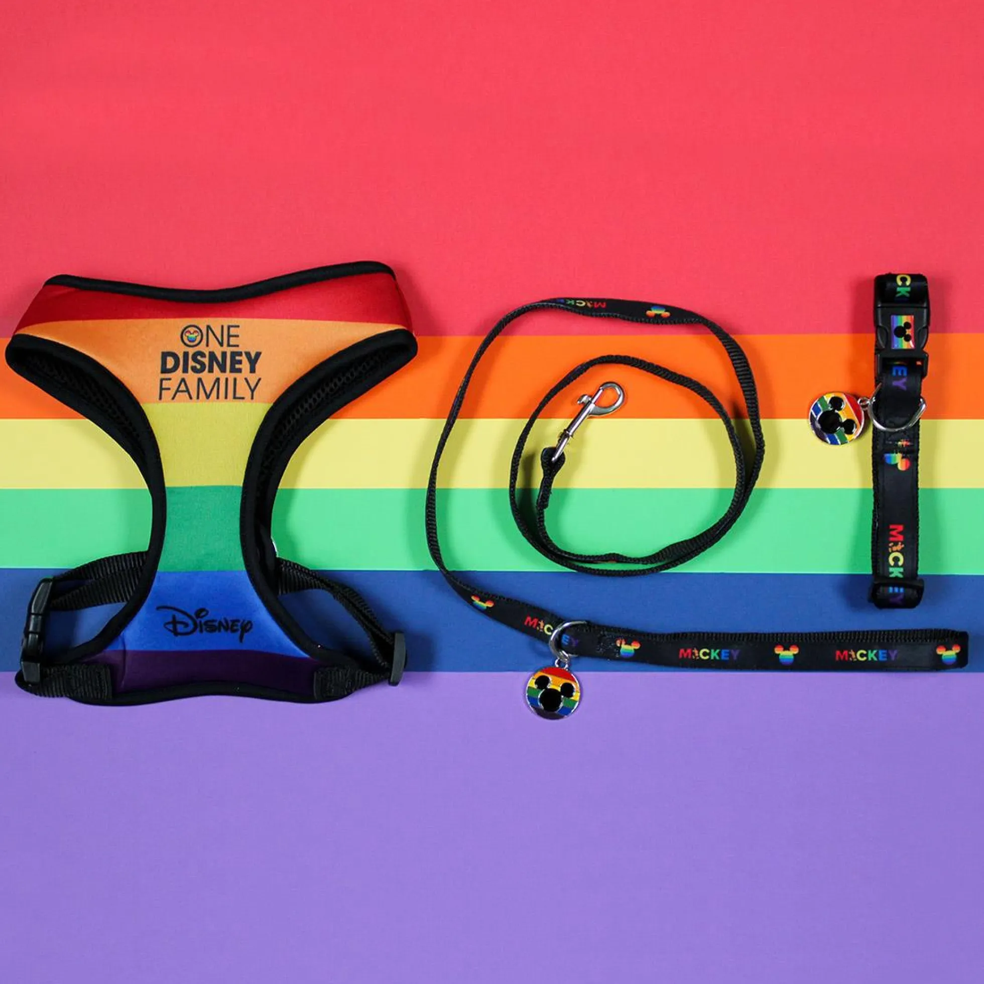 Disney Pride Harness