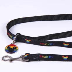 Disney Pride Koppel