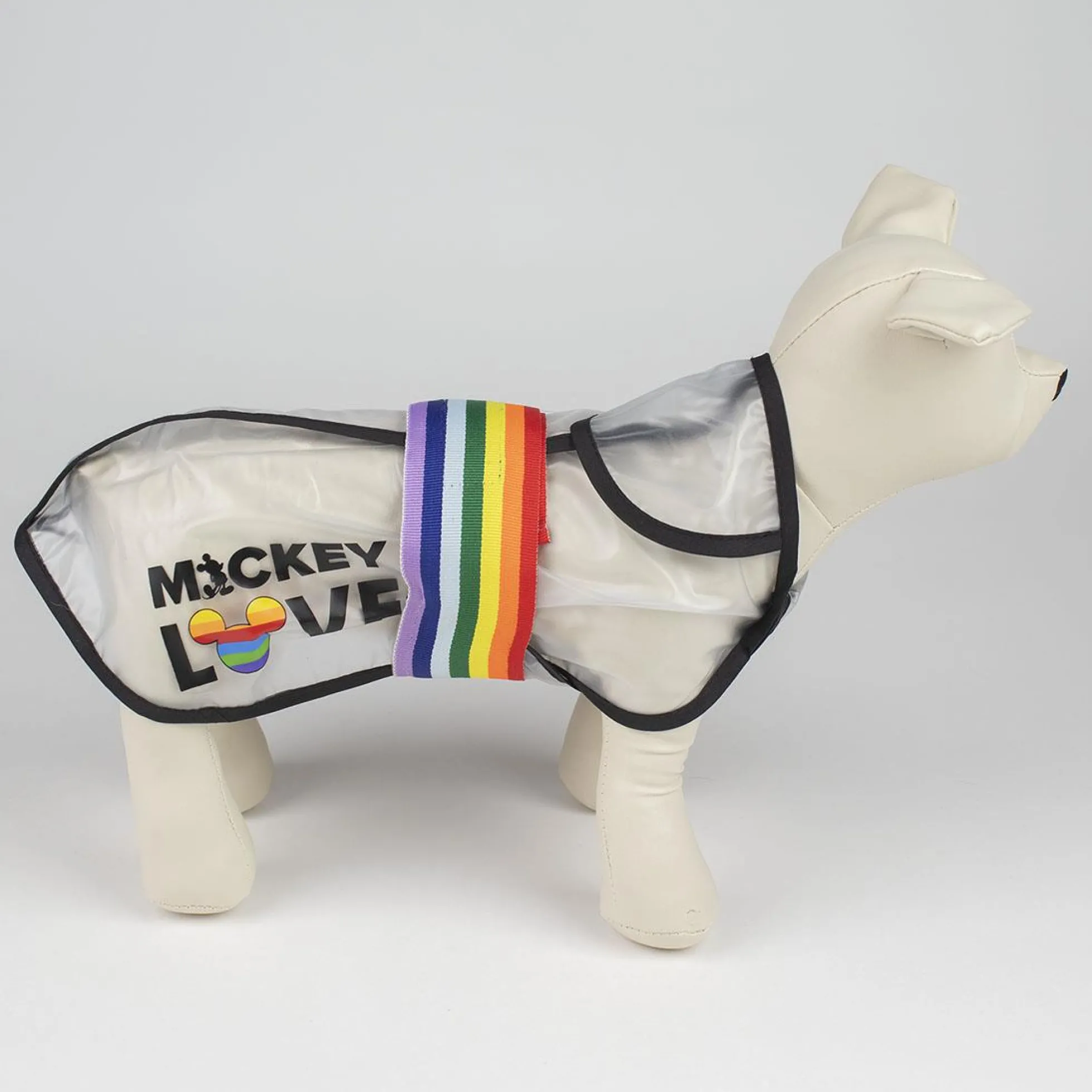Disney Pride Regntäcke