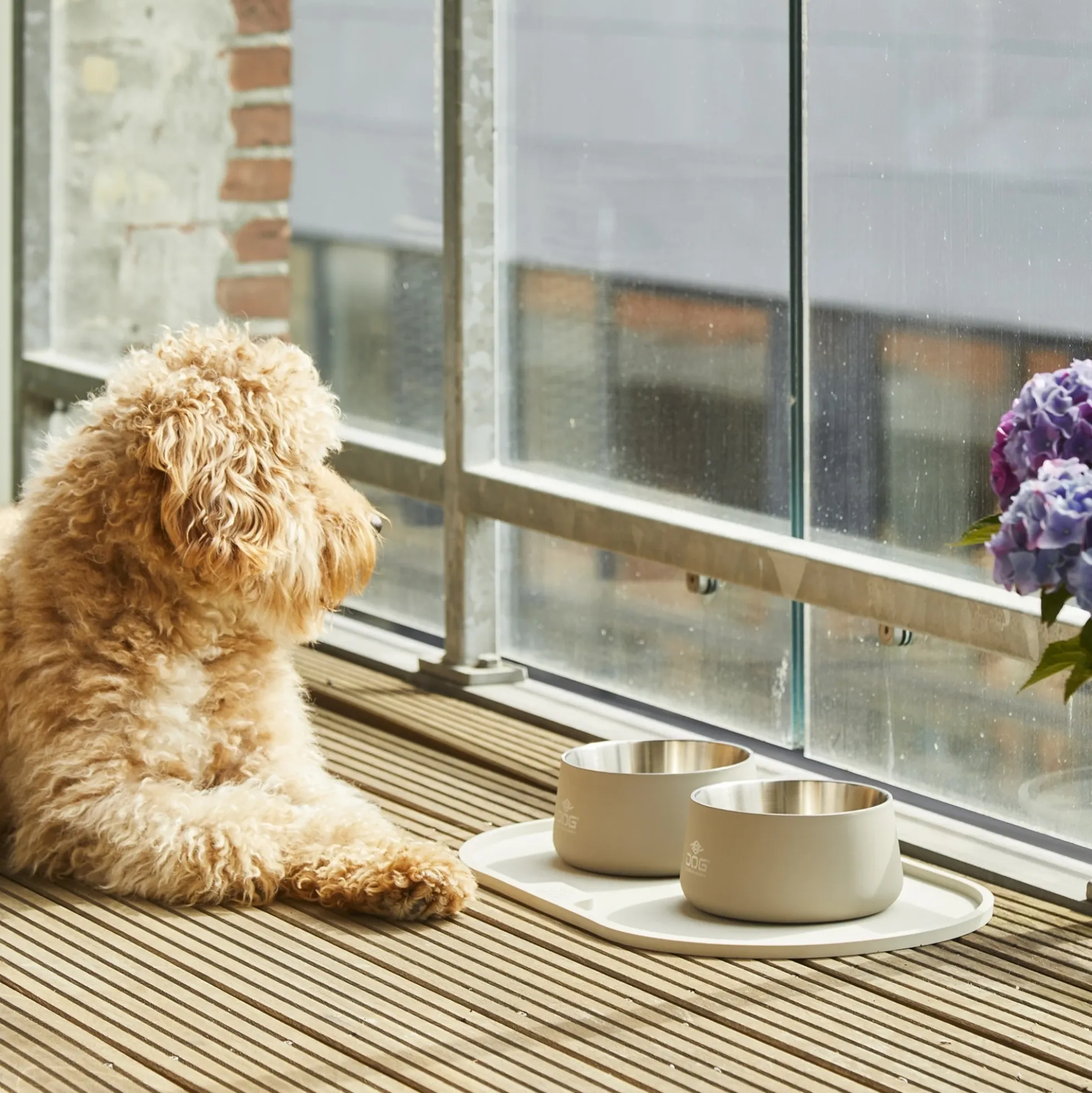 Dog Copenhagen Libra Placemat