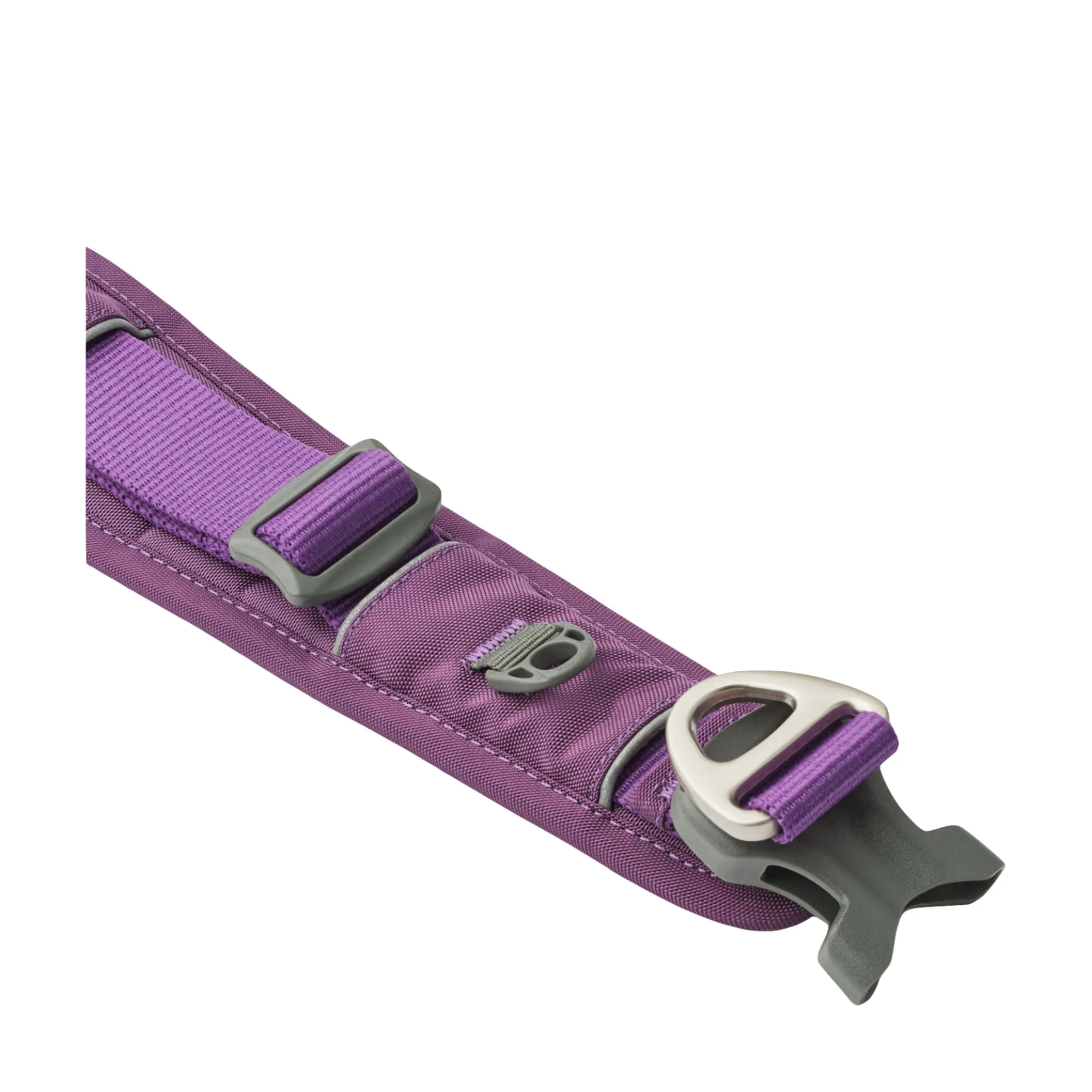 Dog Copenhagen Urban Explorer Collar