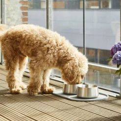 Dog Copenhagen Vega Bowl
