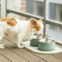 Dog Copenhagen Vega Bowl