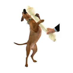 Dogman Gigantiskt Tuggben