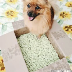 Dogman Mintkex
