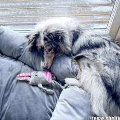 Dogman RabbePlutt Hundleksak