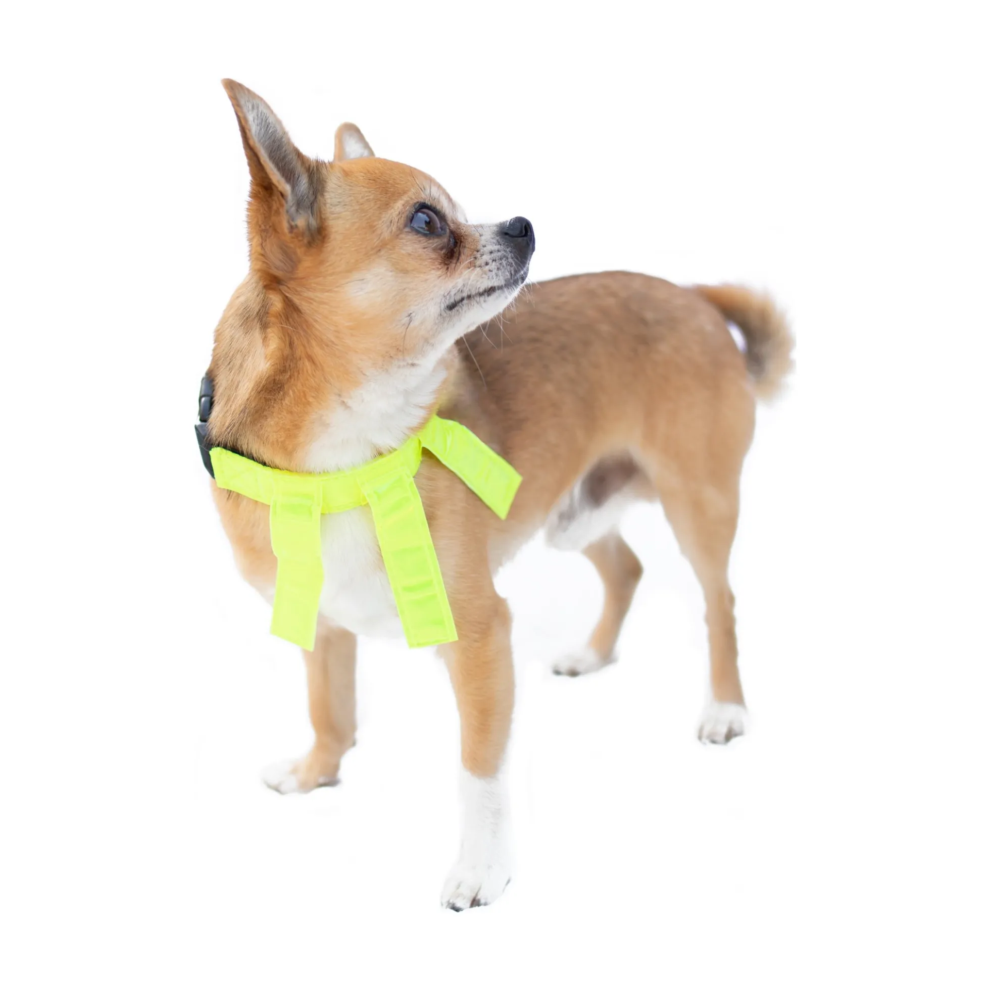 Dogman Reflexhalsband med Flärpar