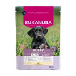 Eukanuba Growing Puppy Large Breed Kyckling