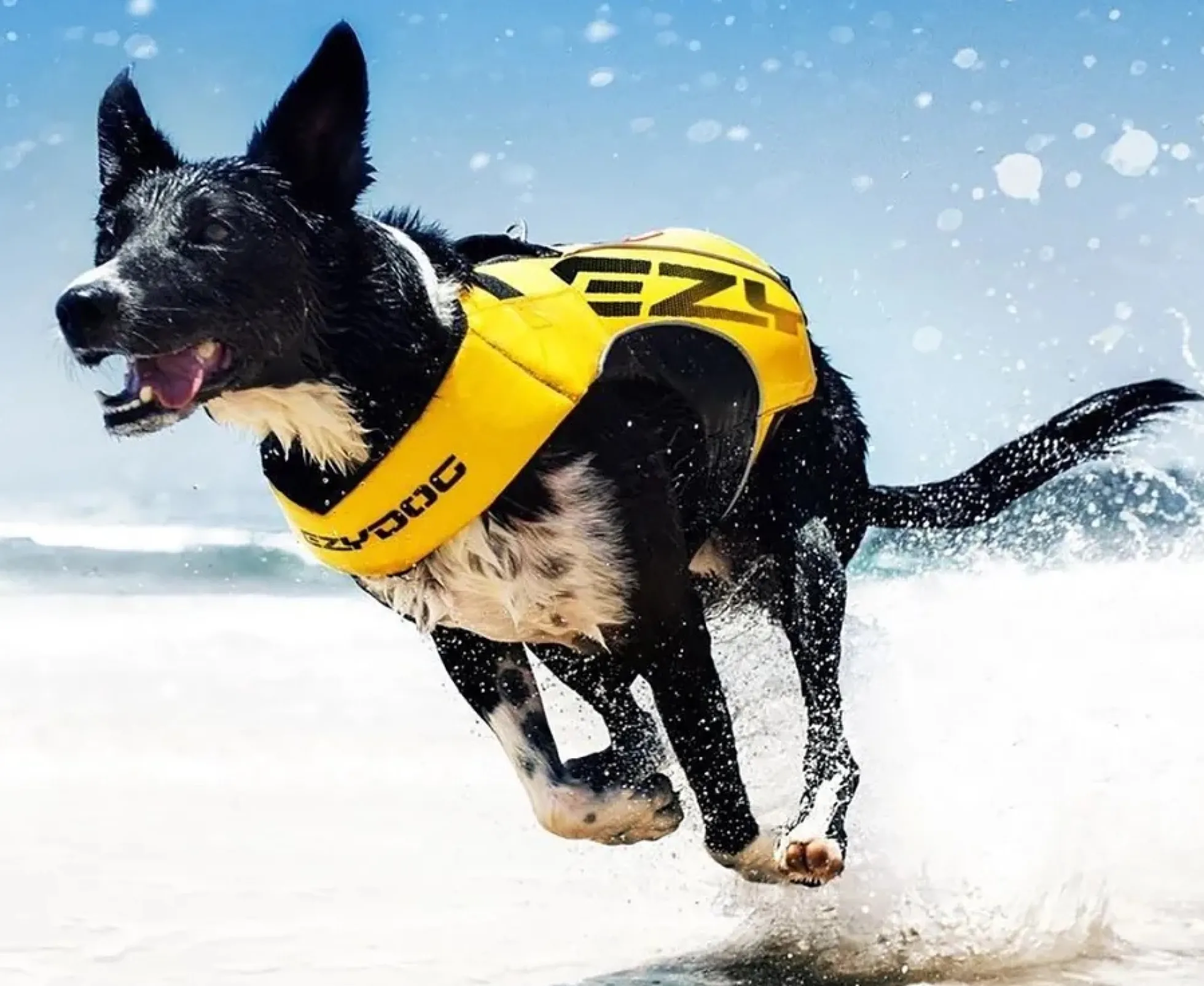 EzyDog Flytväst X2 Boost Gul