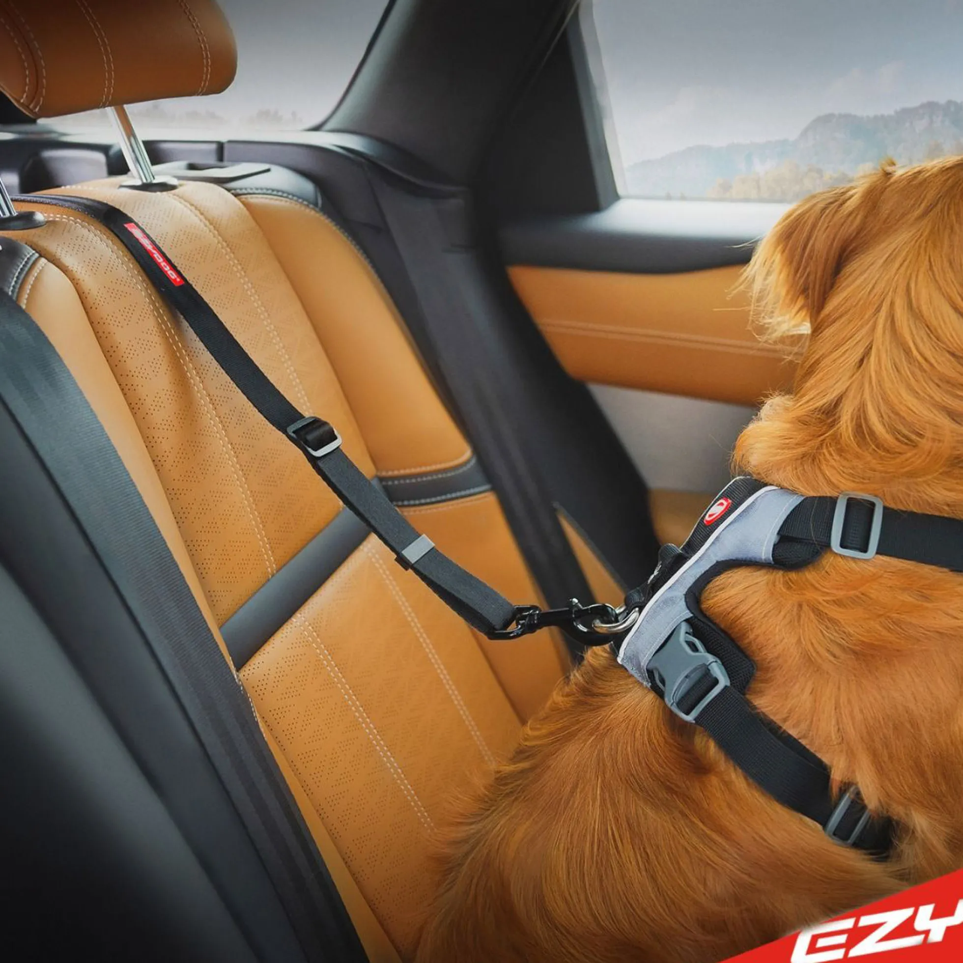 Ezydog ISOFIX Bältesadapter Zero Shock