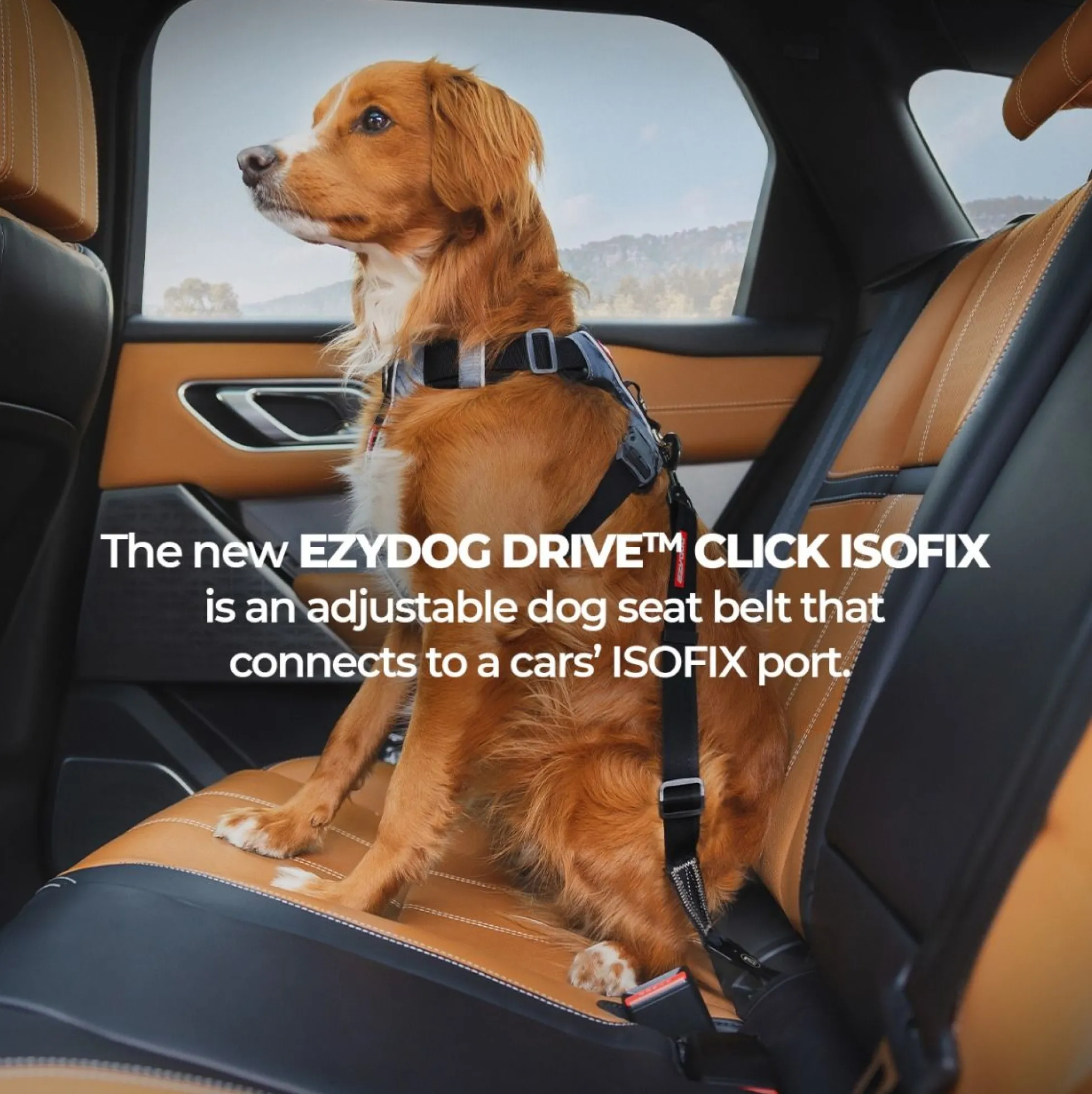 Ezydog ISOFIX Bältesadapter Zero Shock