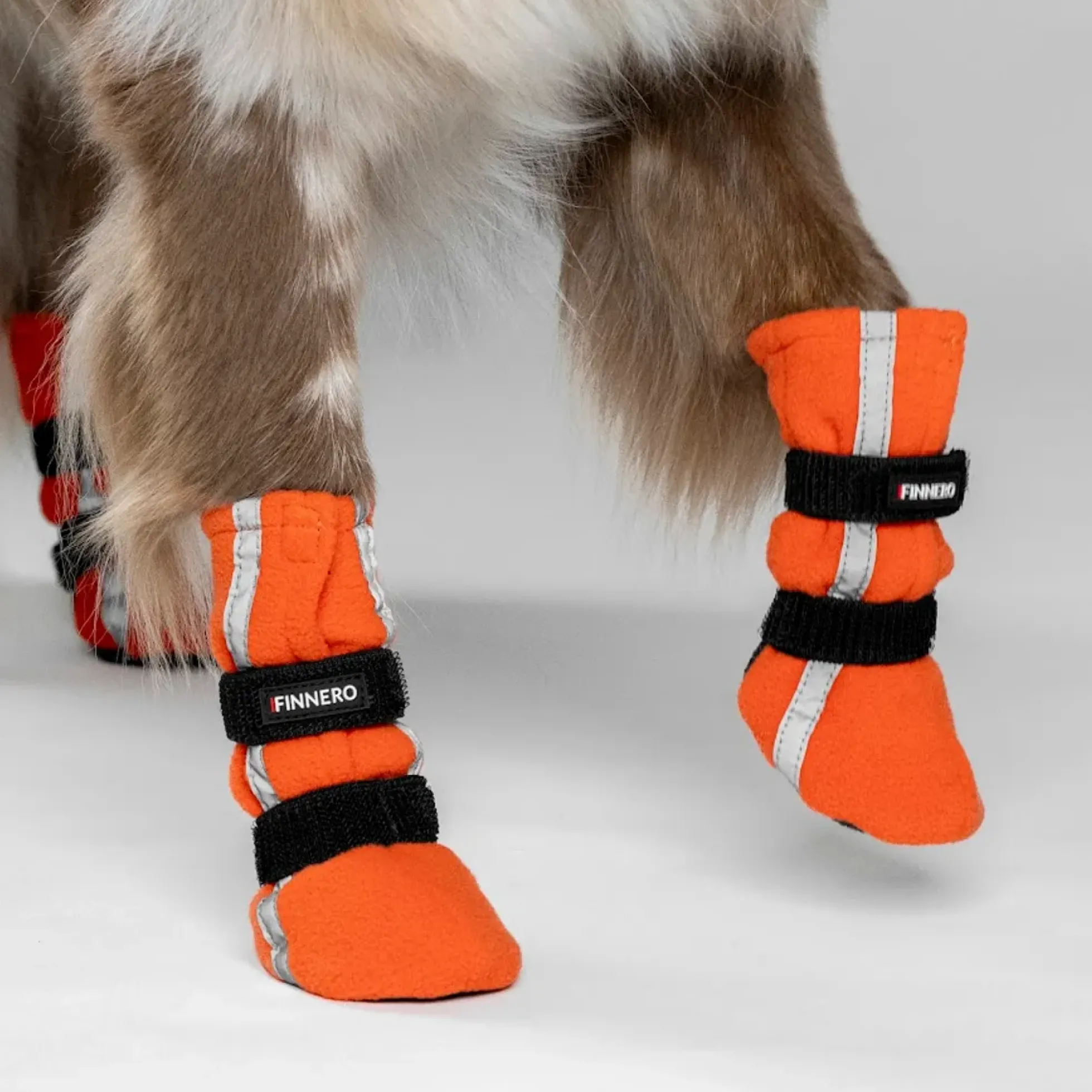 FINNERO Halla Reflex Hundskor 4-pack Orange