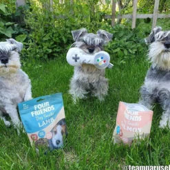 Four Friends FourFriends Dog Snacks