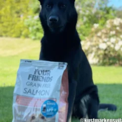 Four Friends FourFriends Grain Free Salmon