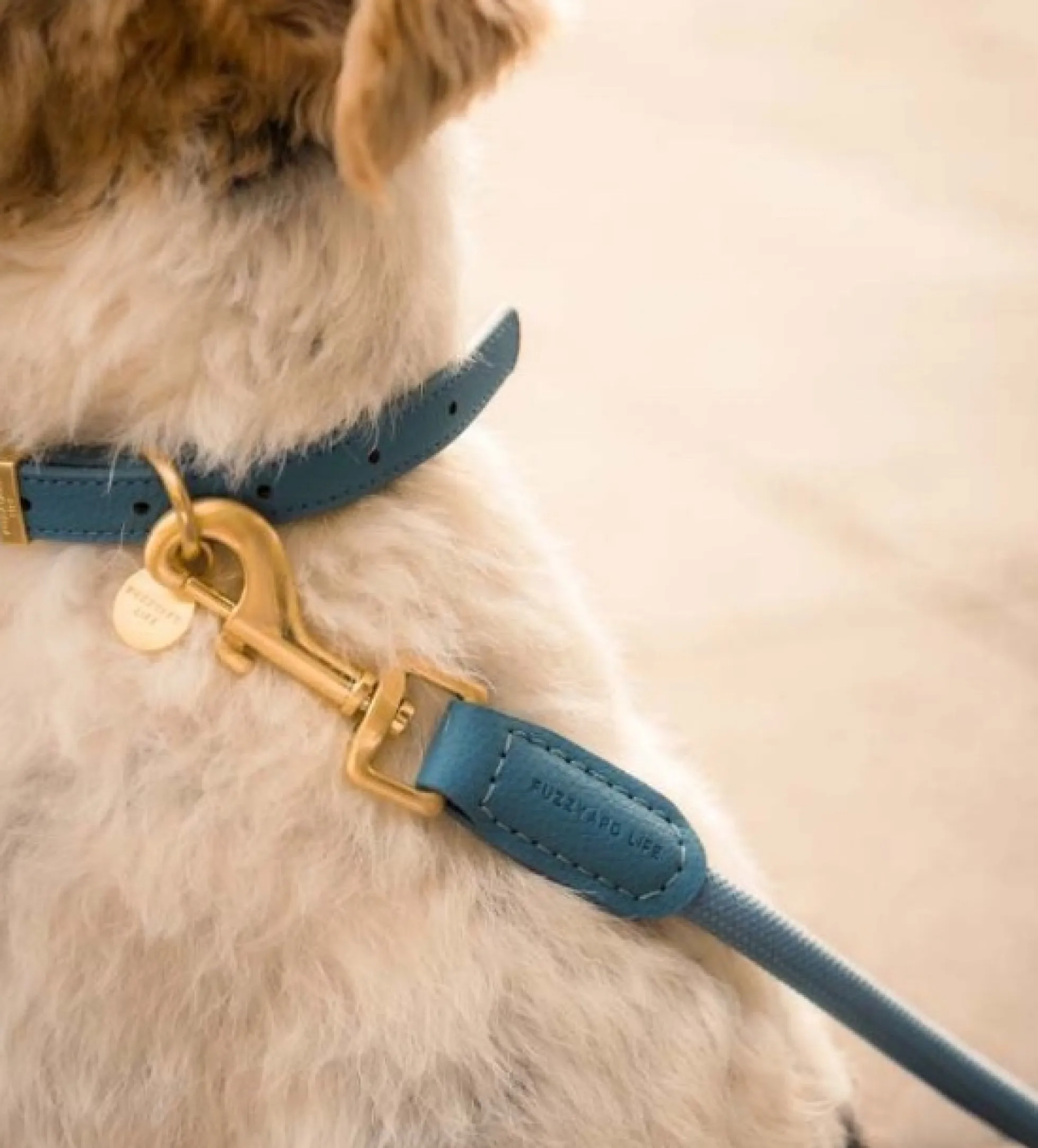 FuzzYard Pet Products FuzzYard Life Atelier Koppel French Blue