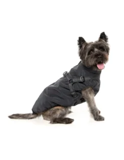 FuzzYard Pet Products FuzzYard Flash Jacket Reflective
