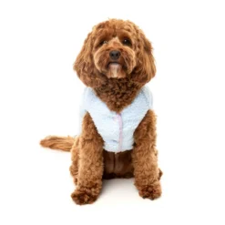 FuzzYard Pet Products FuzzYard Nara Jacket Blue