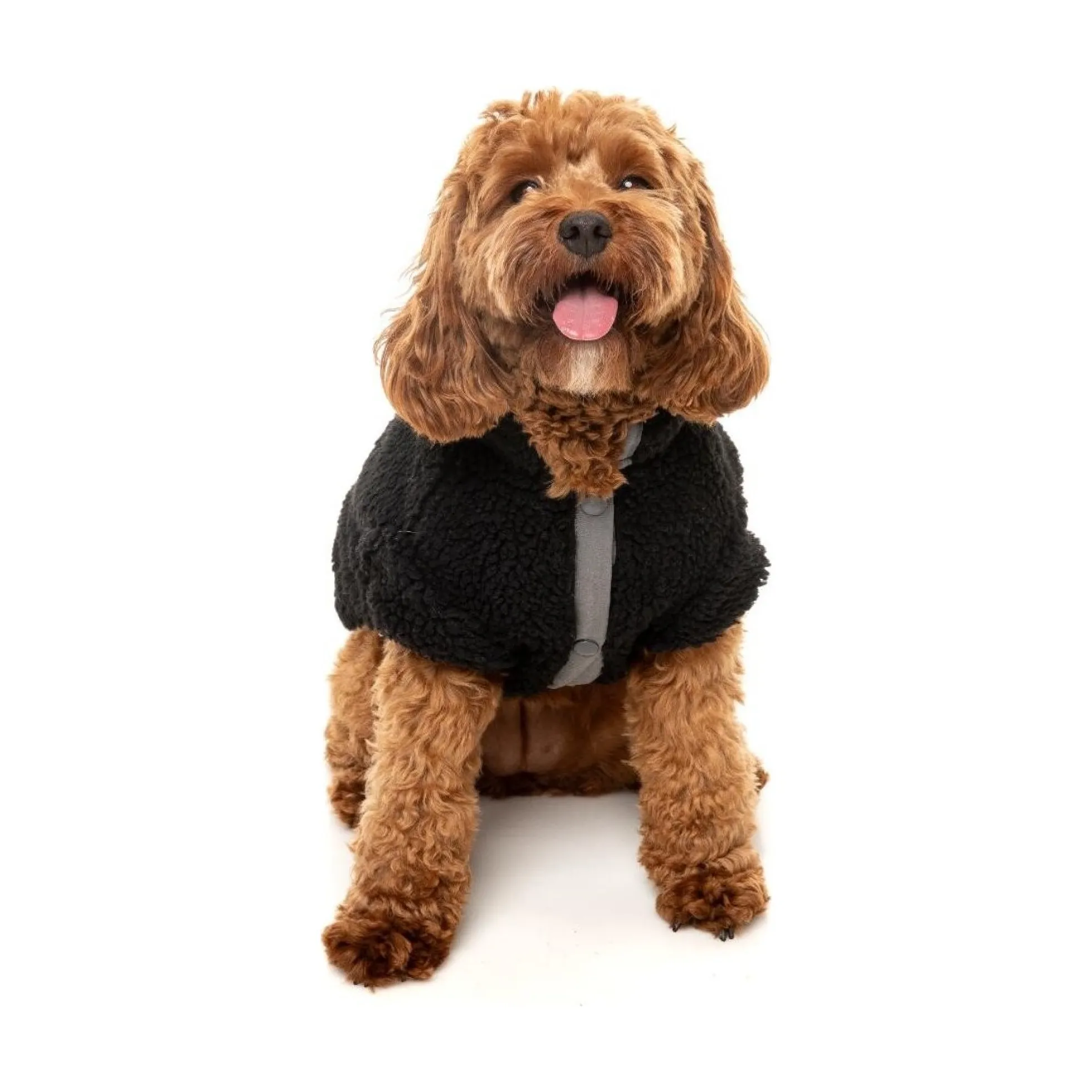 FuzzYard Pet Products FuzzYard Basecamp Jacket Black