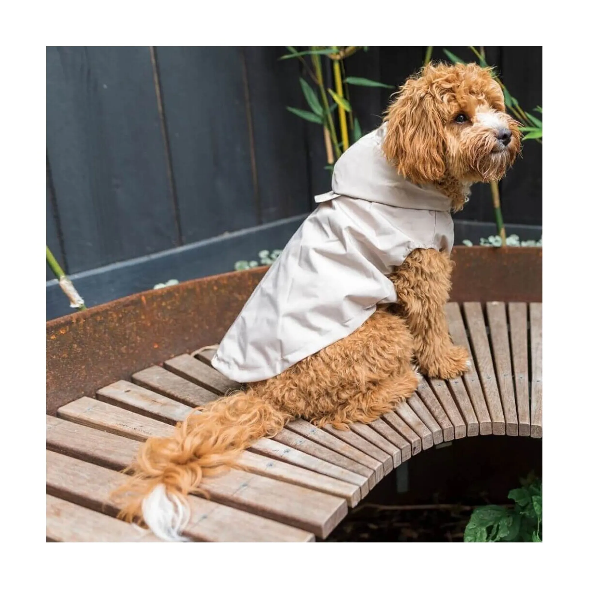 FuzzYard Pet Products FuzzYard Life Raincoat