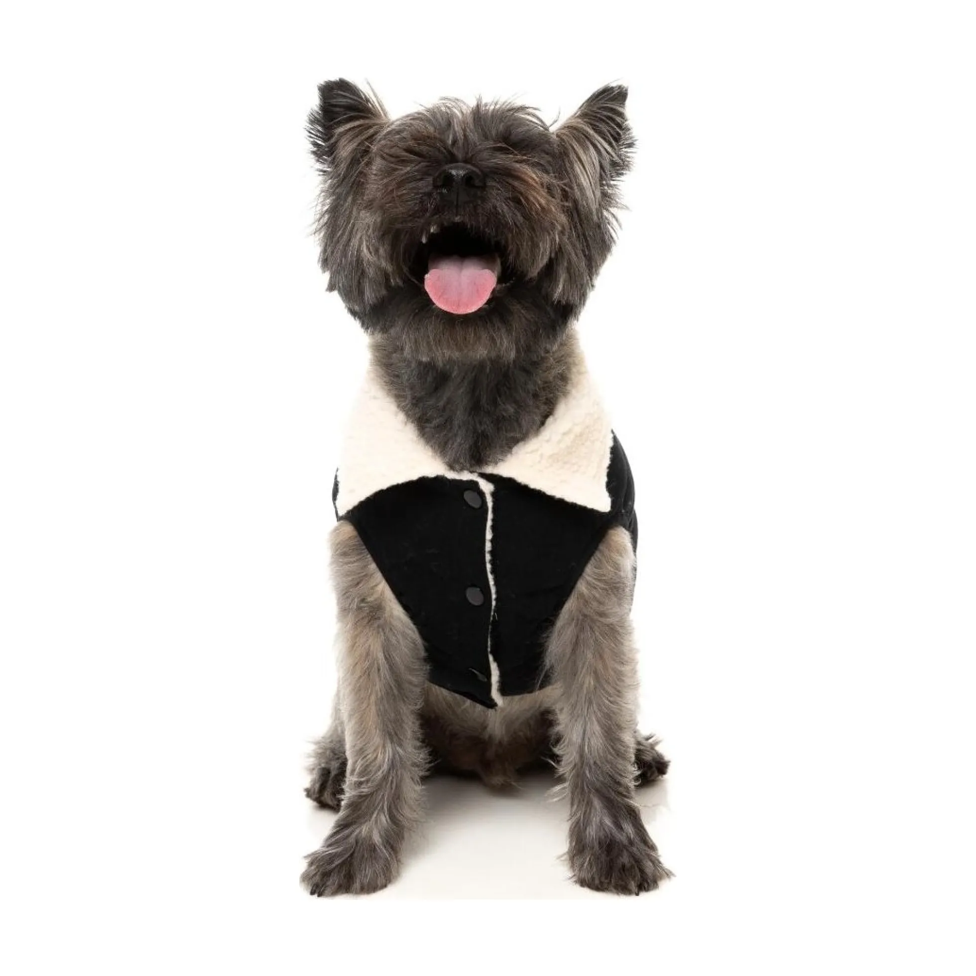 FuzzYard Pet Products FuzzYard Frontier Jacket Black