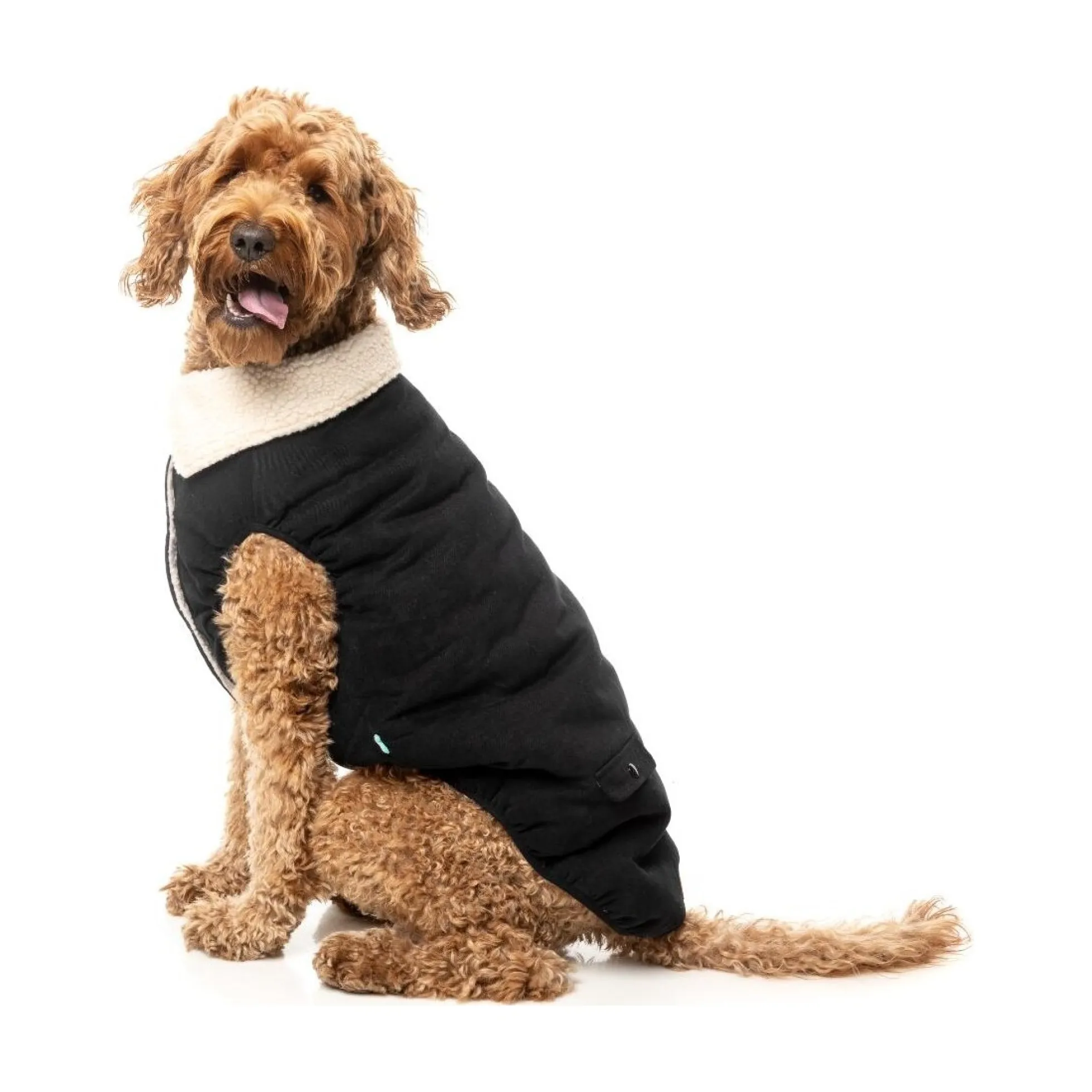 FuzzYard Pet Products FuzzYard Frontier Jacket Black