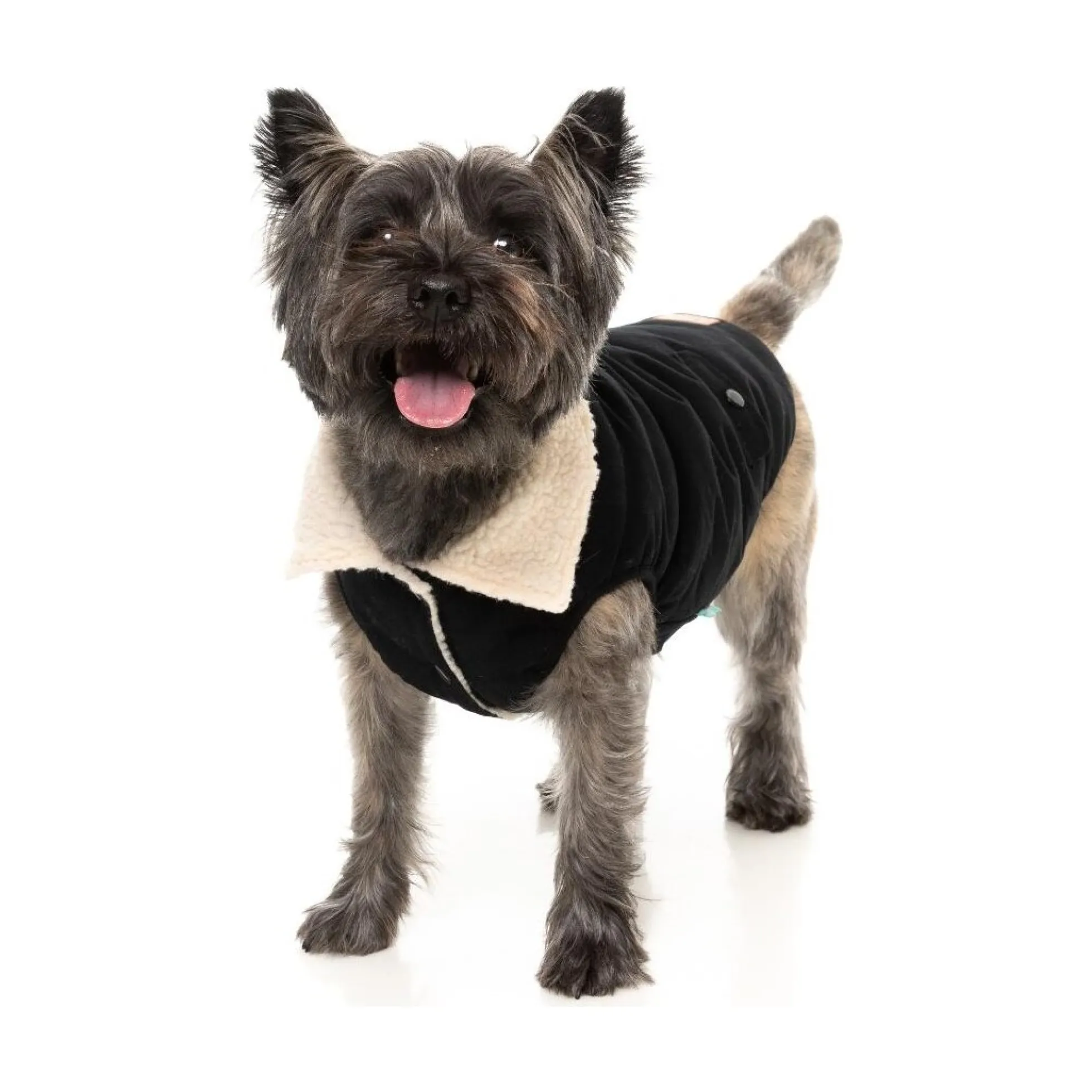 FuzzYard Pet Products FuzzYard Frontier Jacket Black