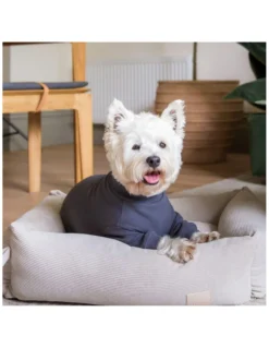 FuzzYard Pet Products FuzzYard Life Hundpyjamas