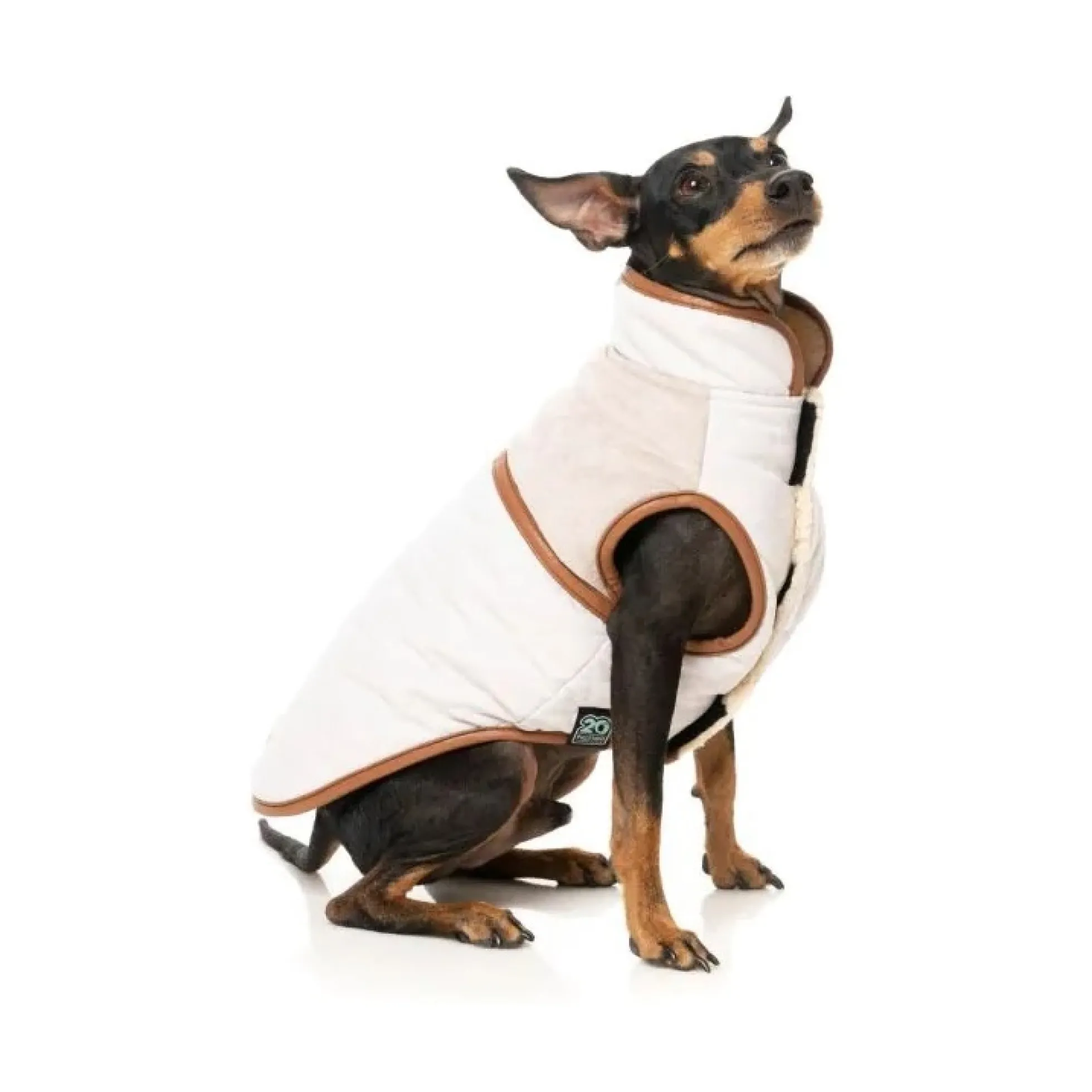 FuzzYard Pet Products Ivanhoe Jacket