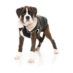 FuzzYard Pet Products Sebastian Hundjacka