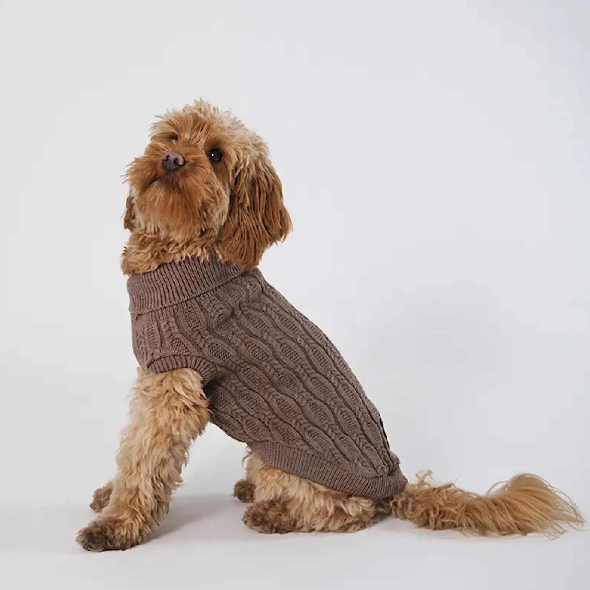 Gustaf & Evita Comfort Stickad Hundtröja