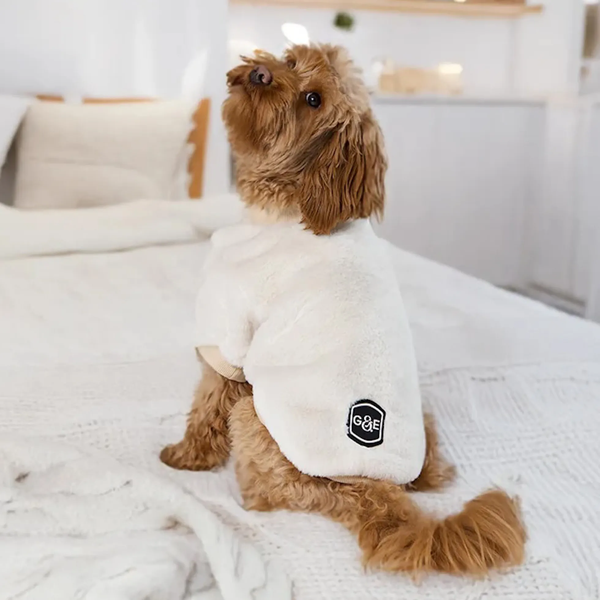 Gustaf & Evita Sherpa Hundtröja