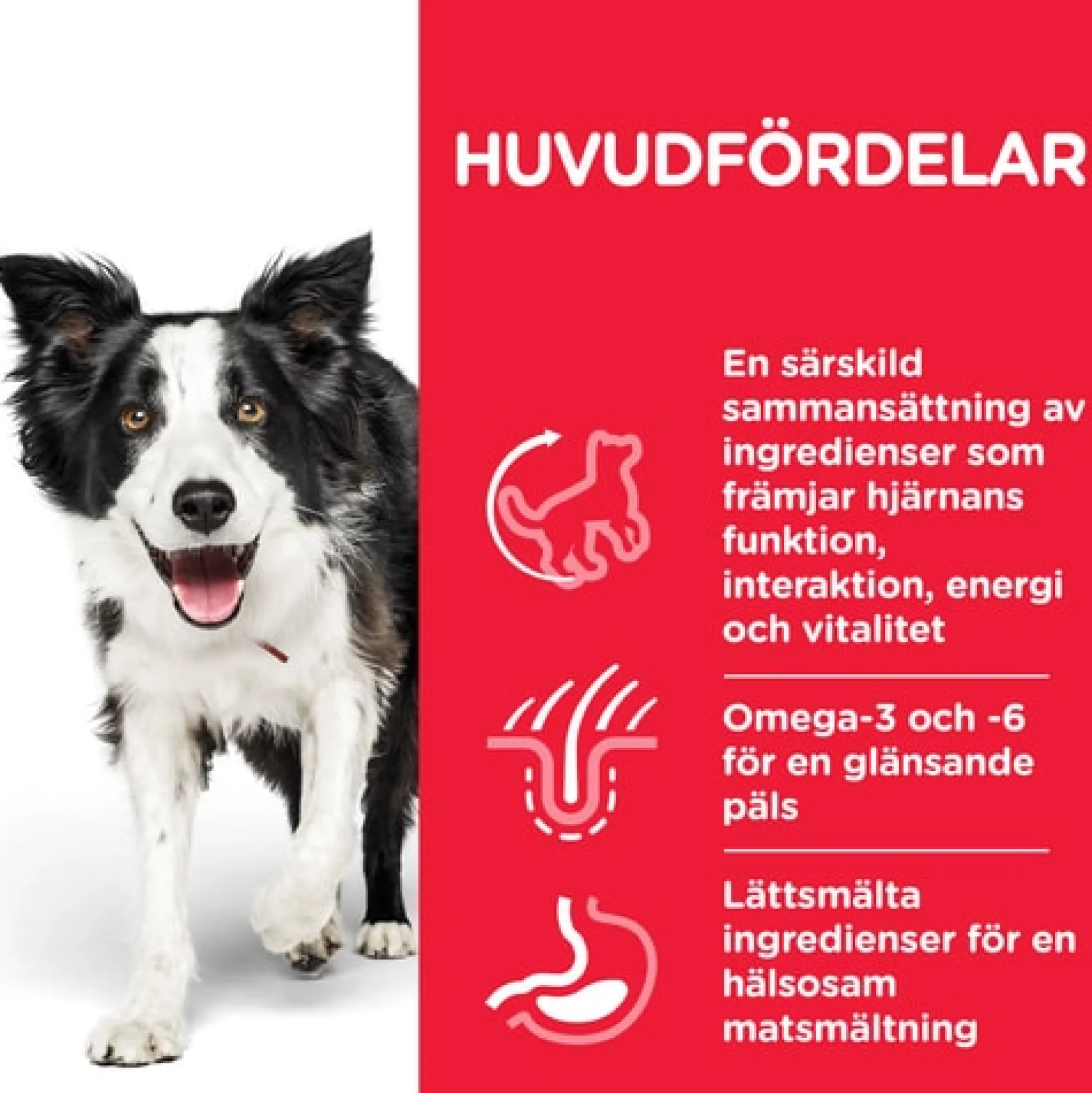 Hill's Pet Nutrition Hill's SCIENCE PLAN Senior Vitality Medium Mature Adult 7+ hundfoder med kyckling & ris
