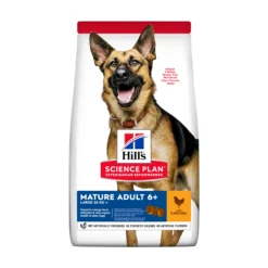 Hill's Pet Nutrition Hill's SCIENCE PLAN Large Breed Mature Adult 5+ Hundfoder med Kyckling