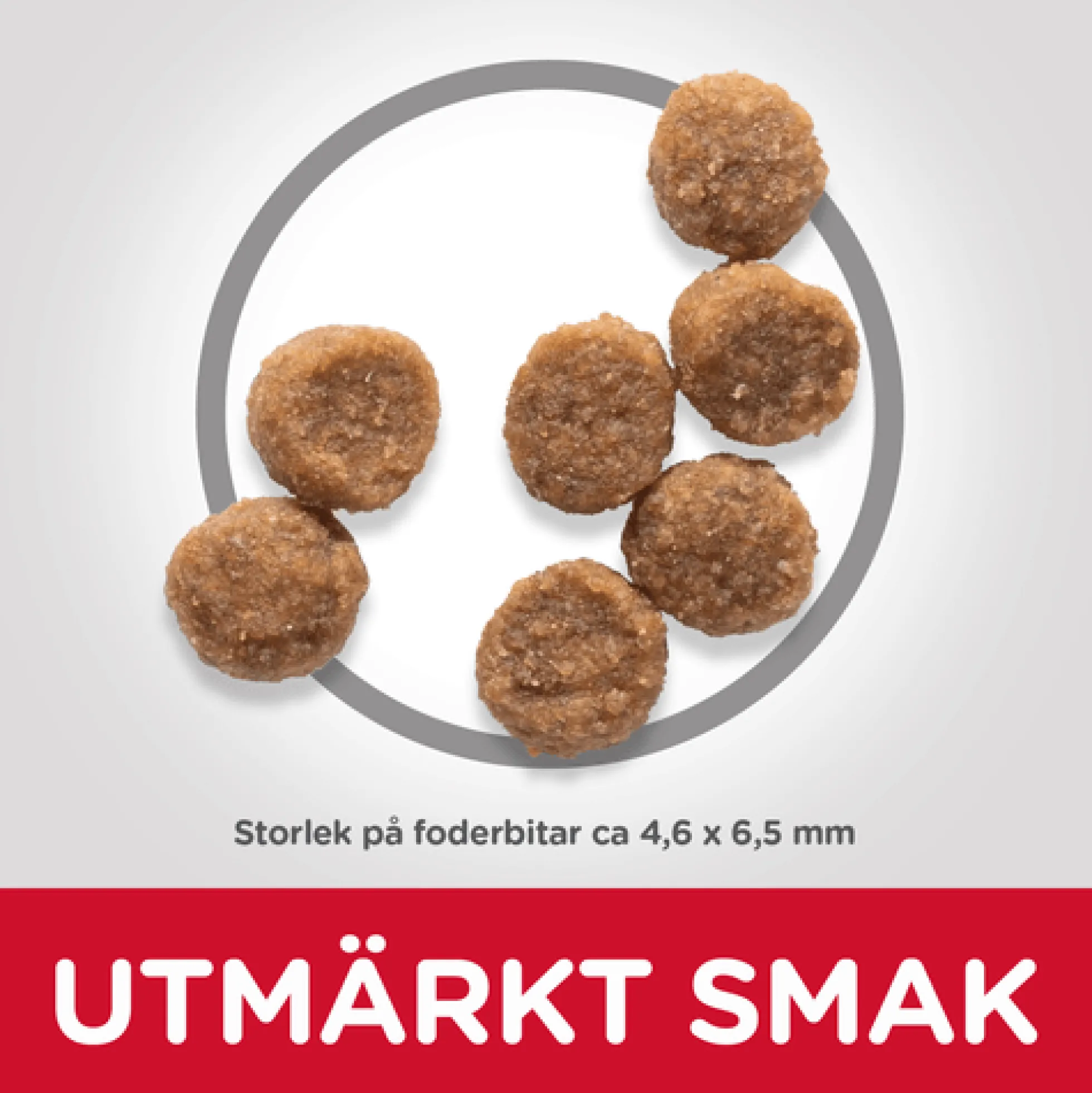 Hill's Pet Nutrition Hill's SCIENCE PLAN Small & Mini Valpfoder med Kyckling