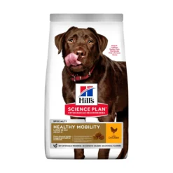 Hill's Pet Nutrition Hill's SCIENCE PLAN Healthy Mobility Large Breed Adult Hundfoder med Kyckling