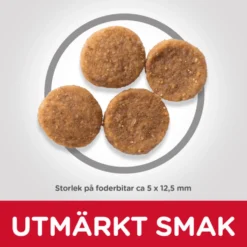 Hill's Pet Nutrition Hill's SCIENCE PLAN Sensitive Stomach & Skin Medium & Large Breed Adult Hundfoder med Kyckling