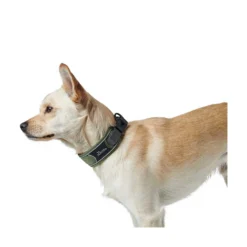 Hunter Divo Halsband
