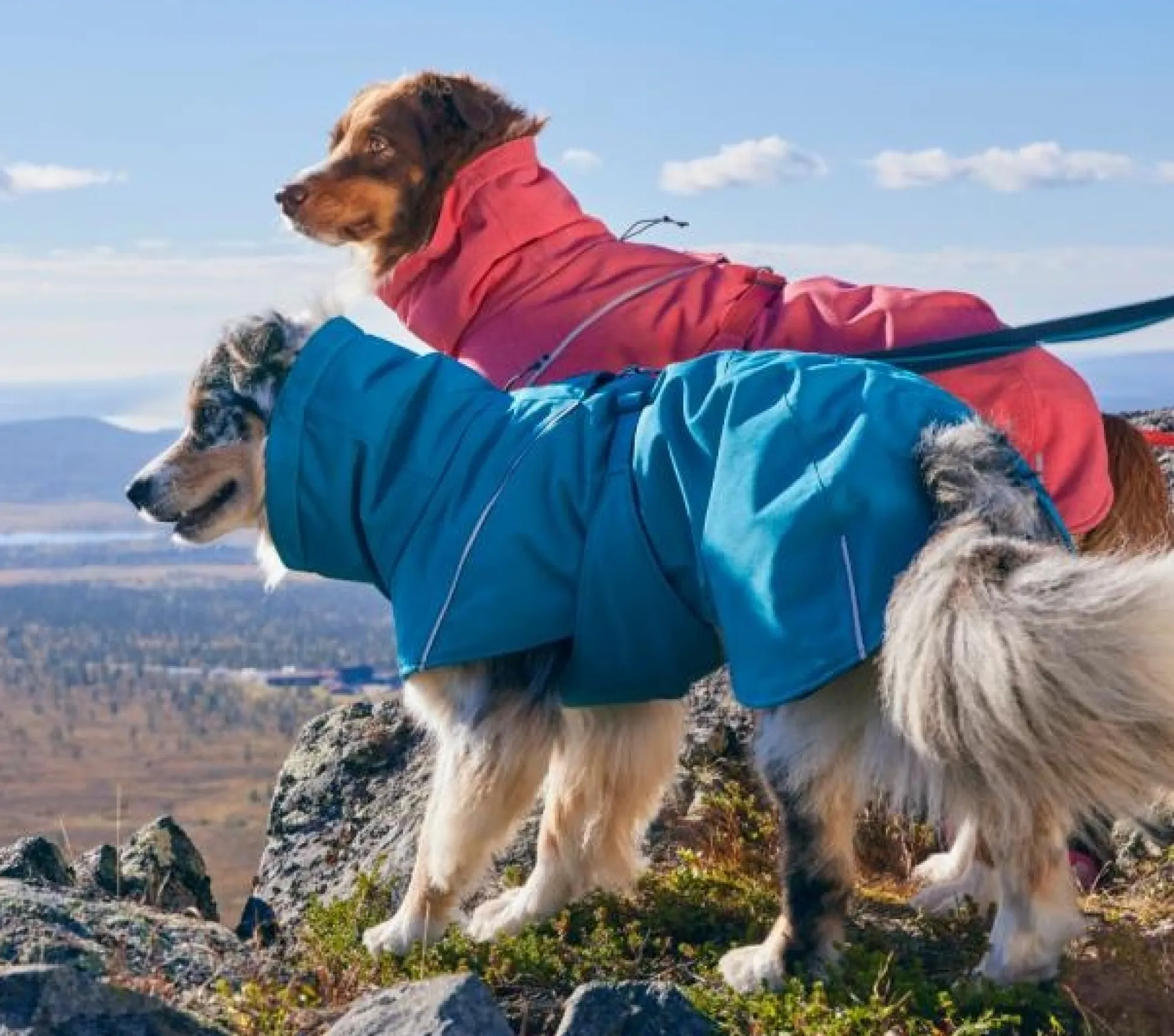 Hurtta Expedition Parka 2.0
