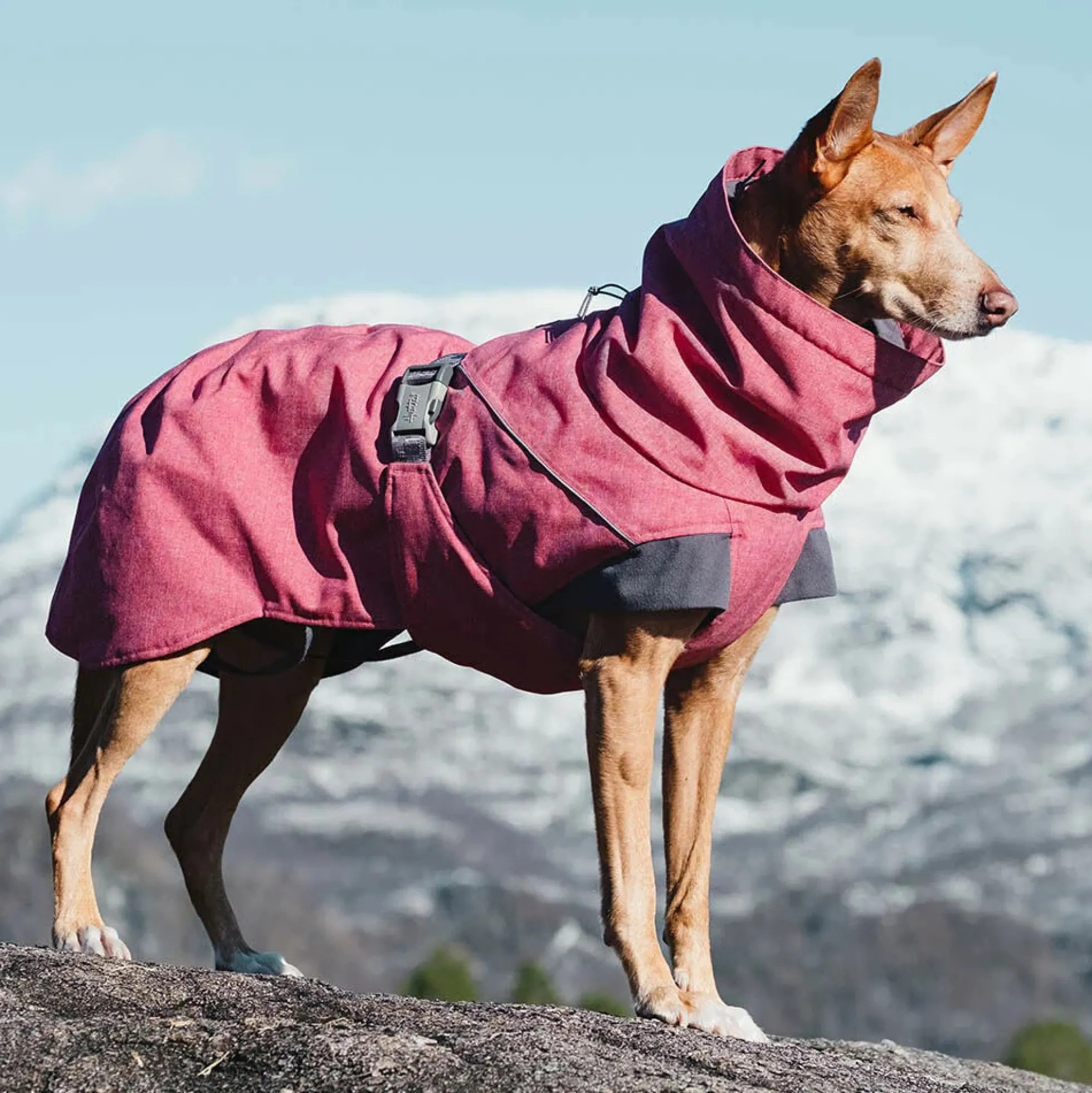 Hurtta Expedition Parka