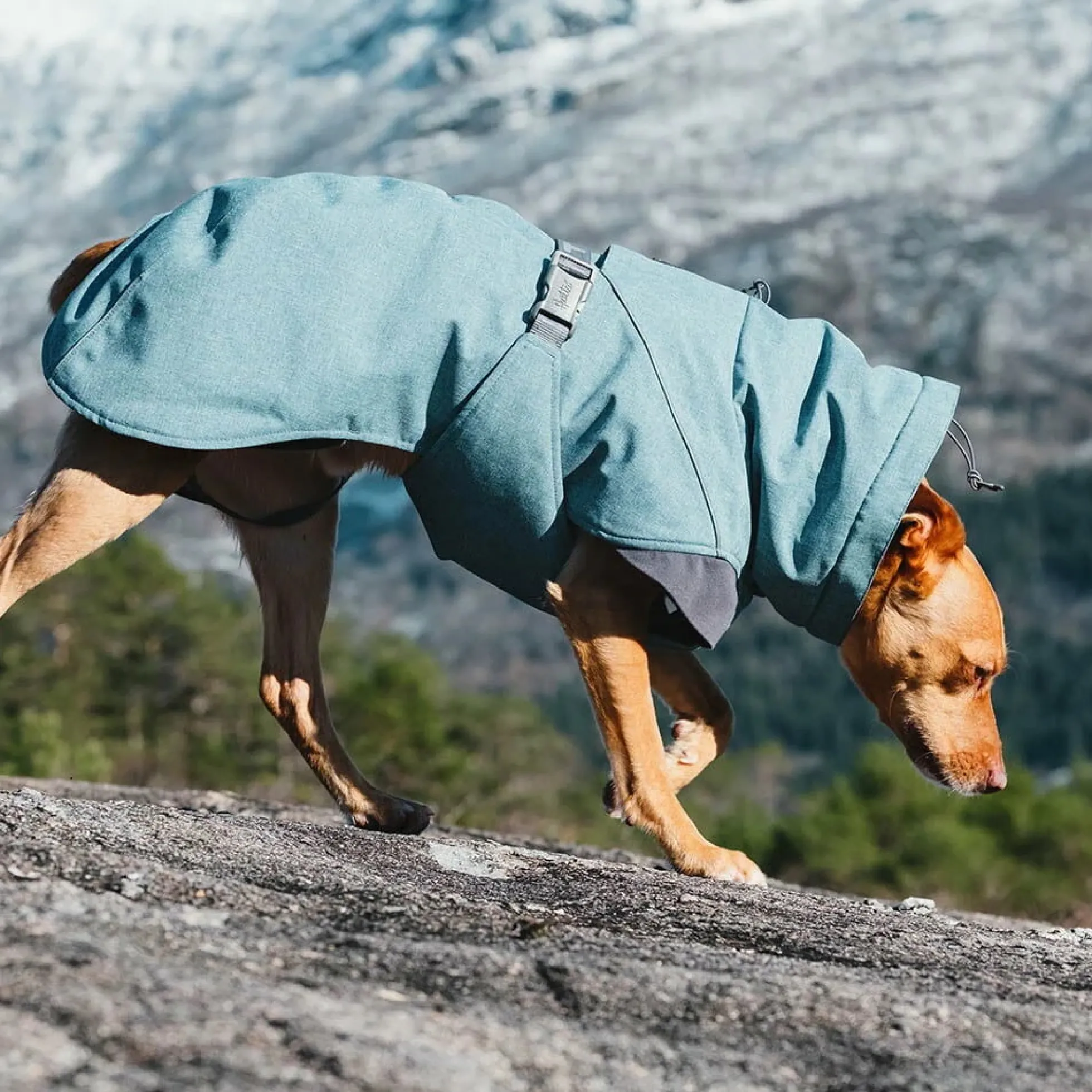 Hurtta Expedition Parka