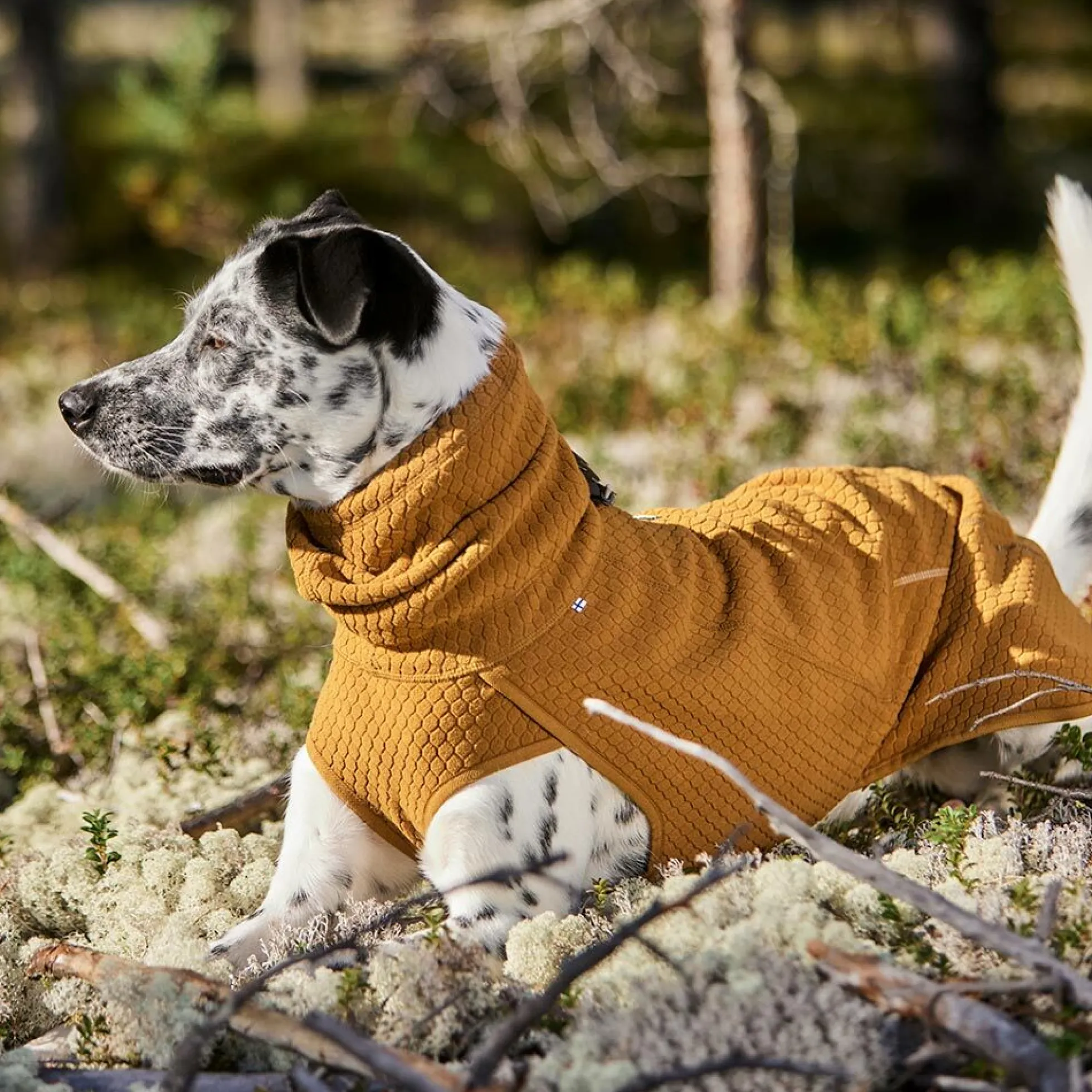Hurtta Warming Midlayer ECO Hundjacka