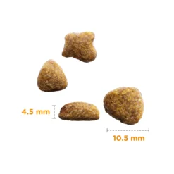IAMS Adult Cat Lamb