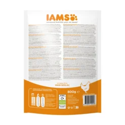 IAMS Kitten