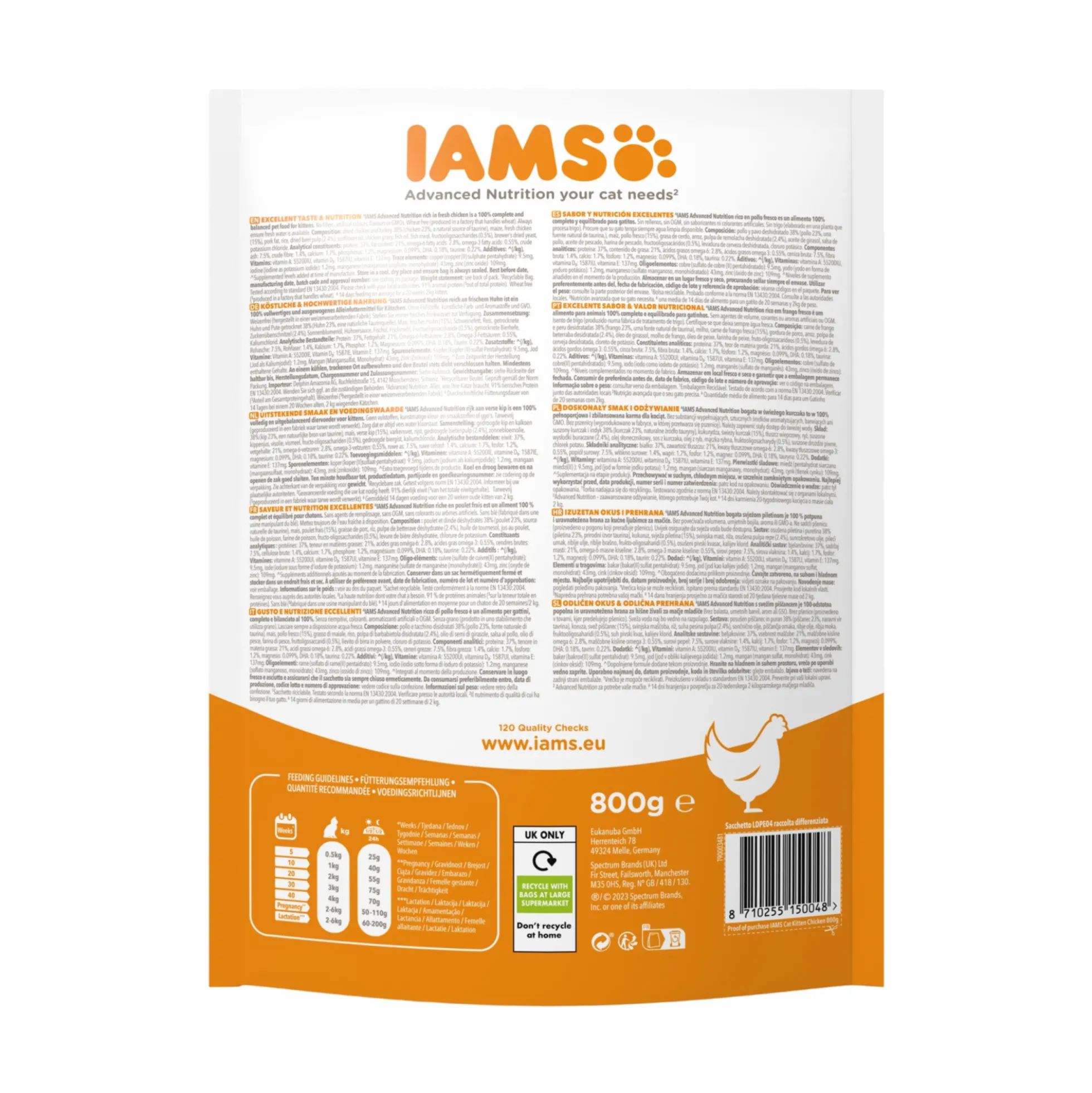 IAMS Kitten