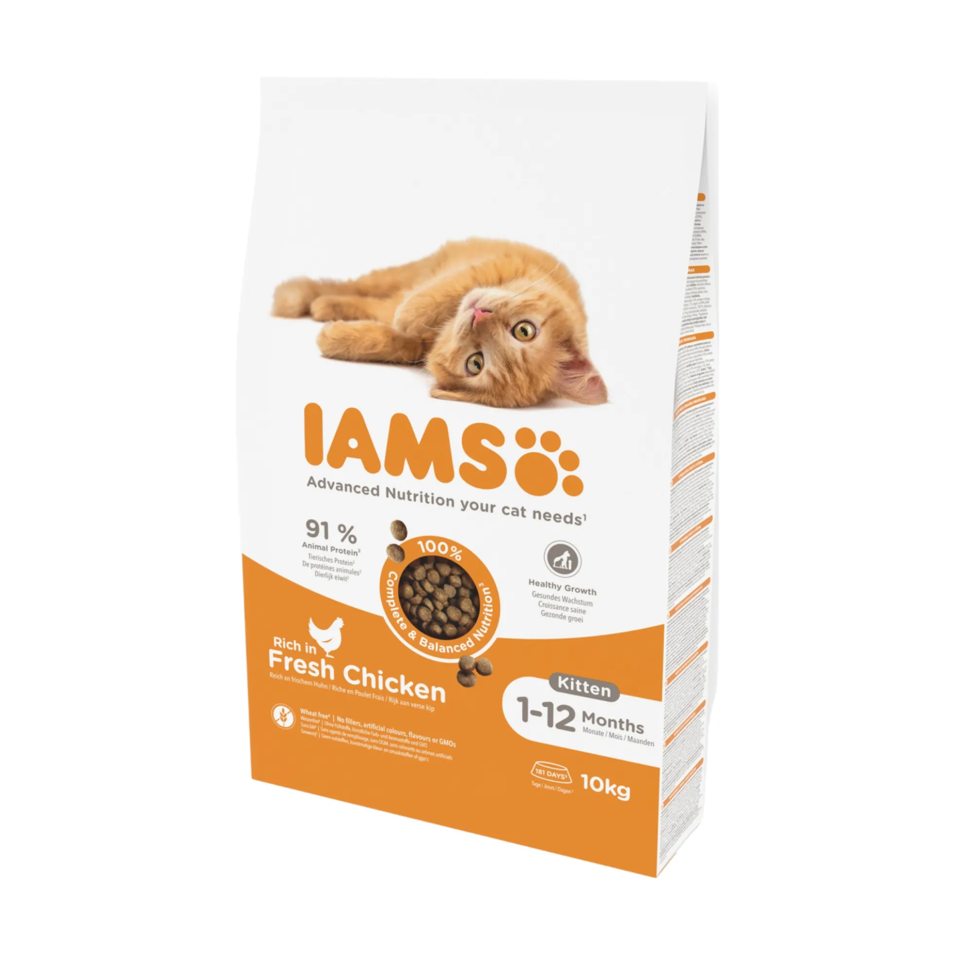 IAMS Kitten