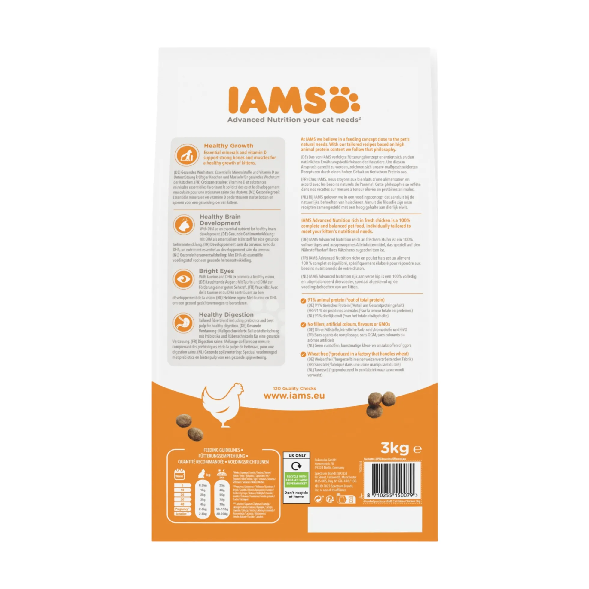 IAMS Kitten