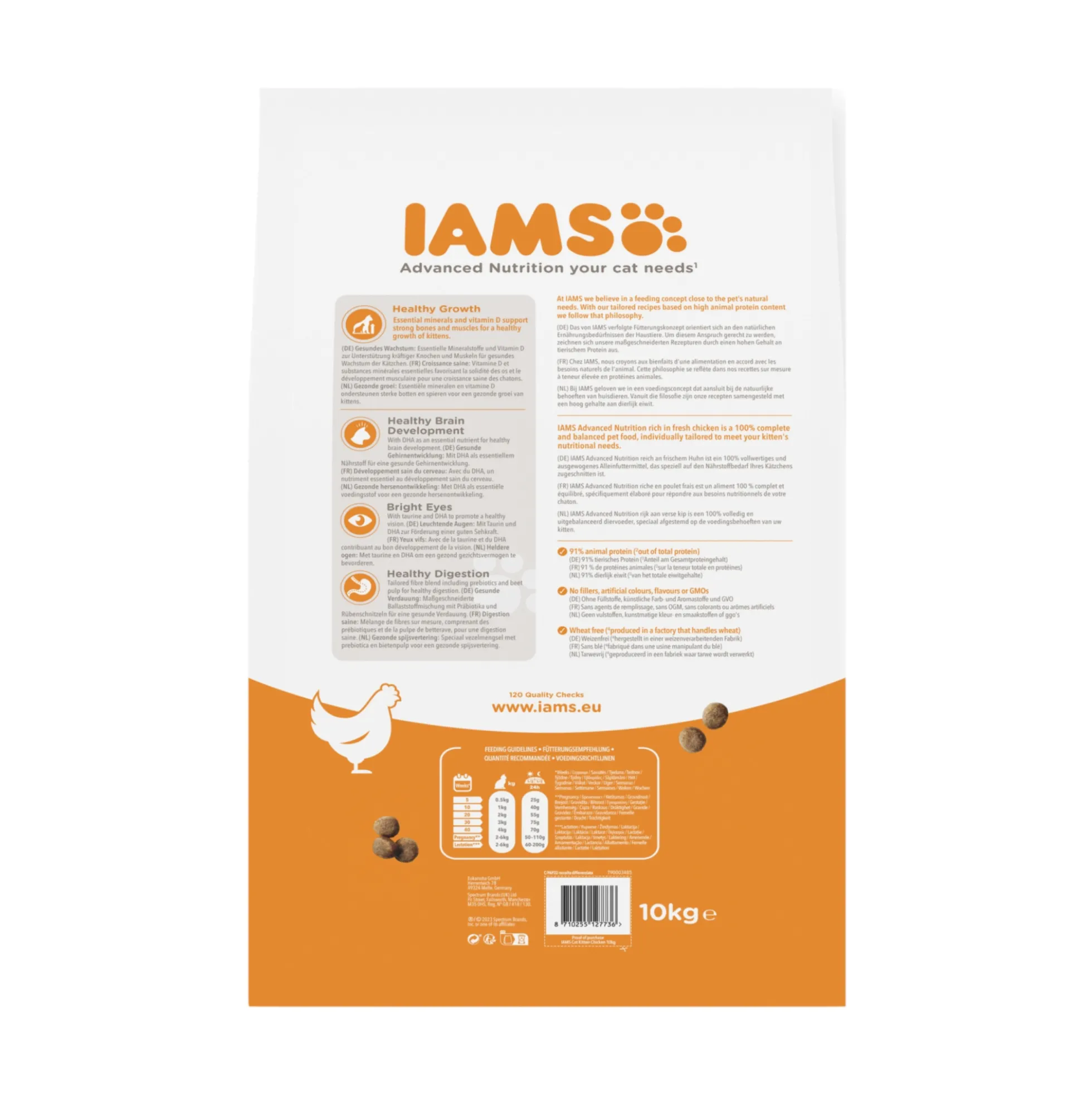 IAMS Kitten