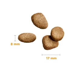 IAMS Senior Large Breed