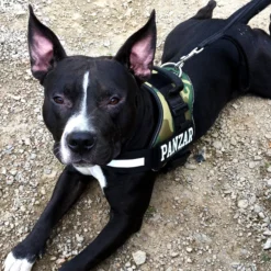 Julius-K9 Designa Ditt Eget Kardborremärke